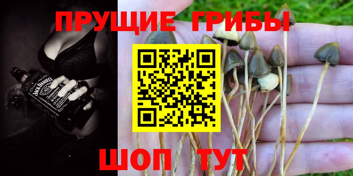 Саянск  Псилоцибиновые грибы прущие грибы  Вход с VPN  Галлюциногенные грибы ЛСД 