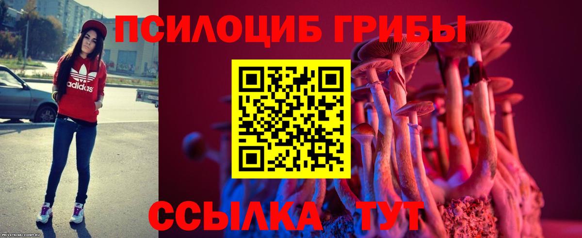 Галлюциногенные грибы мицелий Саянск